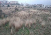 Land suitable for development for sale on España, Castelló de la Plana, ref: TR378369 photo