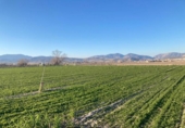 Detached villa with land for sale on España, Pinos Puente, ref: TR215114 photo