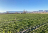 Detached villa with land for sale on España, Pinos Puente, ref: TR215114 photo