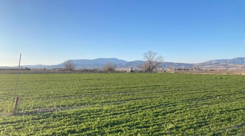 Granada - Pinos Puente - 5308m2