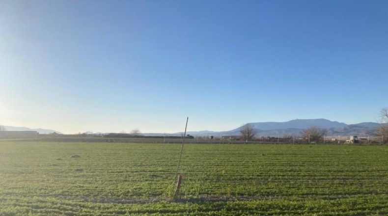 Granada - Pinos Puente - 5308m2