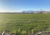 Detached villa with land for sale on España, Pinos Puente, ref: TR304206 photo