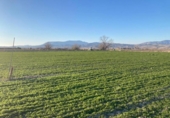 Detached villa with land for sale on España, Pinos Puente, ref: TR304206 photo