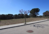 Urban land for sale on España, la Torre de Claramunt, ref: TR122208 photo