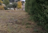 Parcela urbanizable en venta en la España, Piera, ref: TR114619 foto