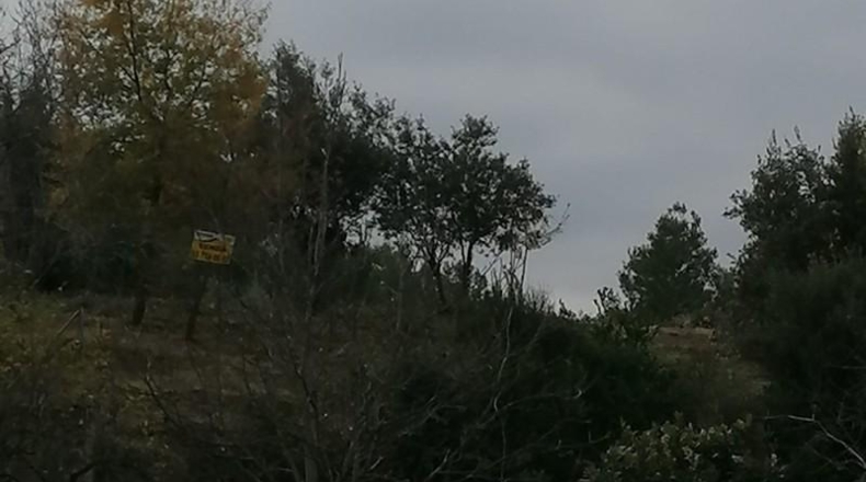 Barcelona - Piera - 1584m2