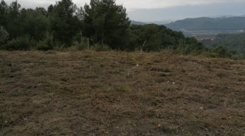 Barcelona - Piera - 1584m2