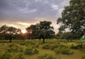 Sòl urbà en venda a la España, Castilblanco de los Arroyos, ref.: TR131483 foto
