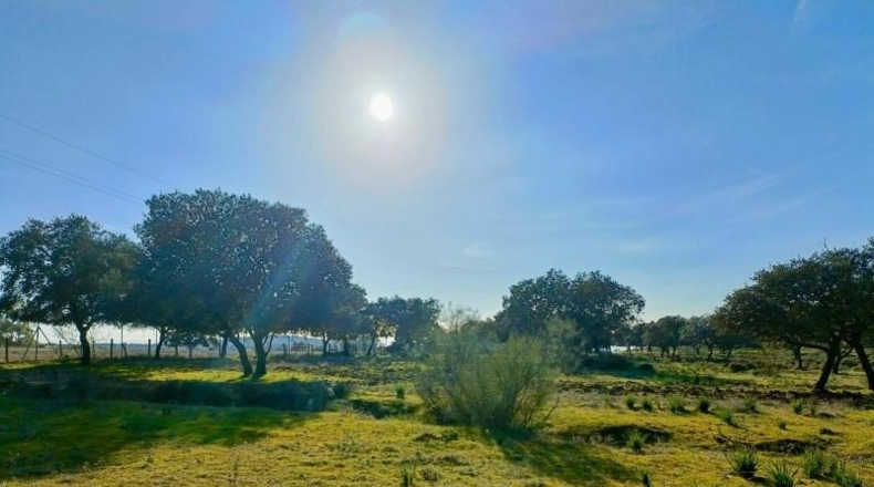 Sevilla - Castilblanco de los Arroyos - 5500m2