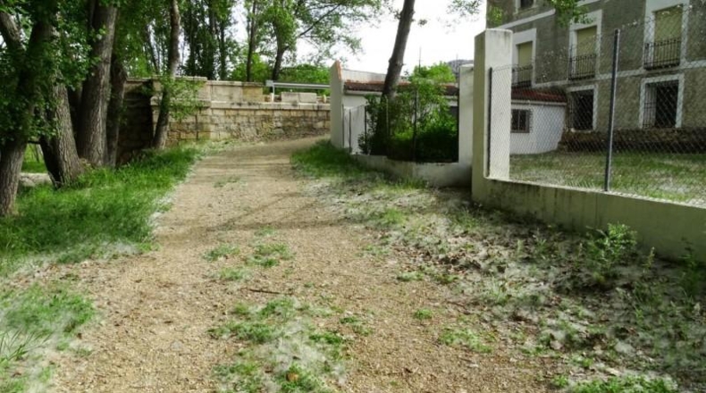 Cuenca - Salvacañete - 450m2