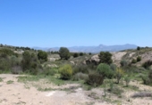 Finca rústica en venda a la España, Monòver, ref.: TR302770 foto