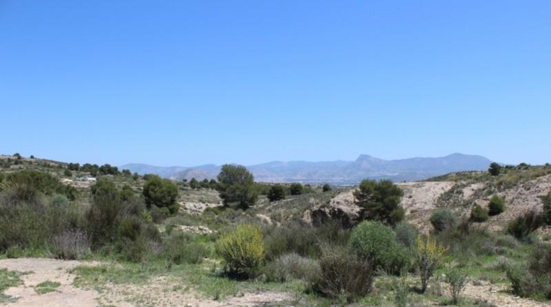 Alicante - Monóvar - 2000m2
