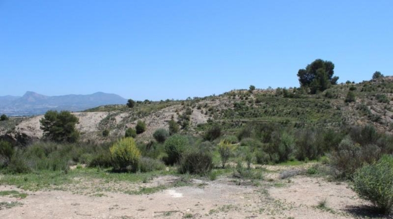 Alicante - Monóvar - 2000m2