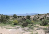 Finca rústica en venda a la España, Monòver, ref.: TR302770 foto