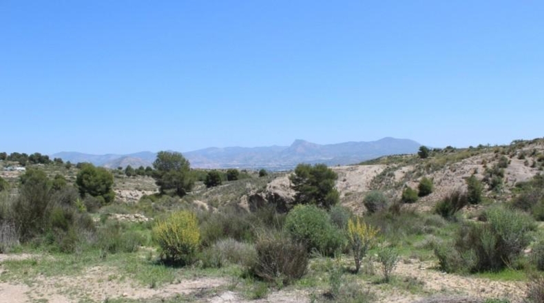 Alicante - Monóvar - 2000m2
