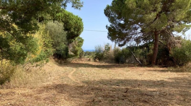 Barcelona - Pineda de Mar - 549m2