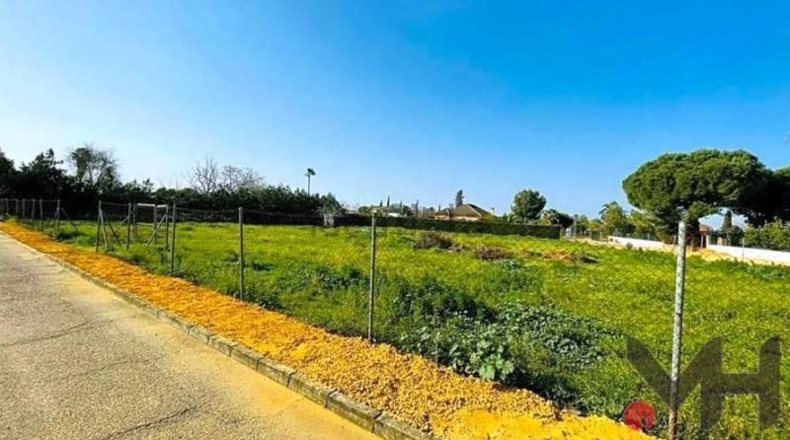 Seville - Carmona - 2775m2