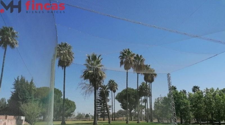 Seville - Aznalcázar - 1061m2