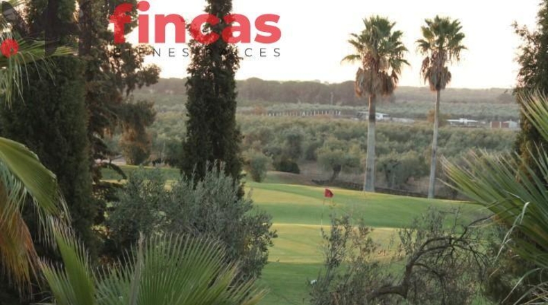 Seville - Aznalcázar - 1061m2