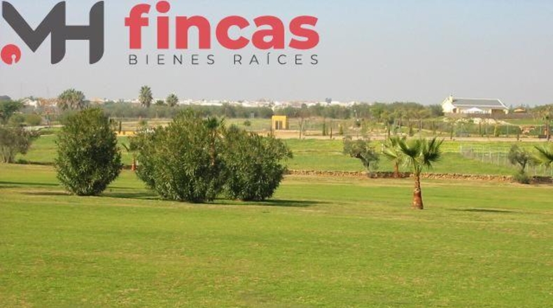 Seville - Aznalcázar - 1061m2