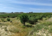 Terreny no urbanitzable en venda a la España, Mula, ref.: TR247406 foto