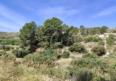 Terreny no urbanitzable en venda a la España, Mula, ref.: TR247406 foto