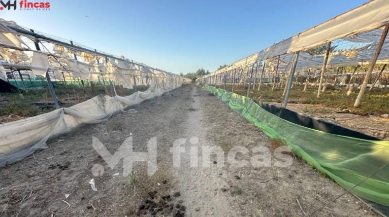 Seville - Los Palacios y Villafranca - 7439m2
