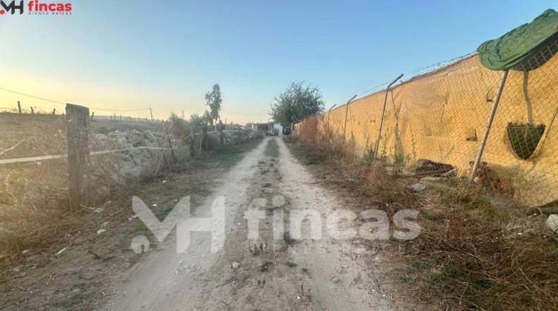 Seville - Los Palacios y Villafranca - 7439m2