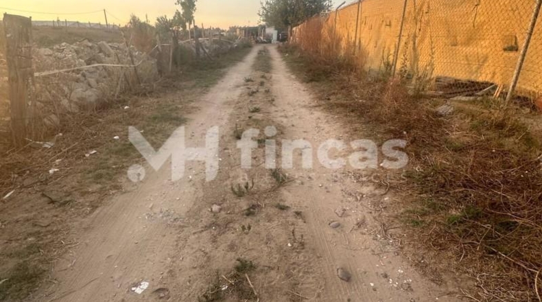 Seville - Los Palacios y Villafranca - 7439m2