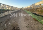 Xalet independent amb terreny en venda a la España, Los Palacios y Villafranca, ref.: TR308426 foto