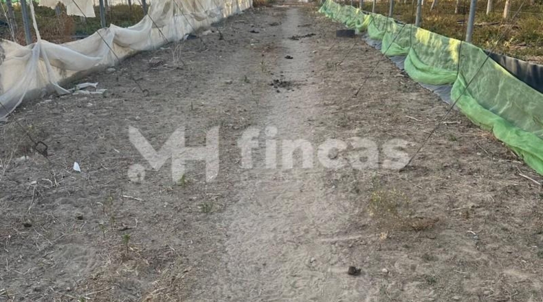 Seville - Los Palacios y Villafranca - 7439m2