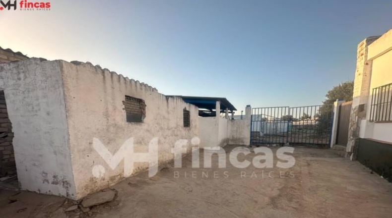 Seville - Los Palacios y Villafranca - 7439m2
