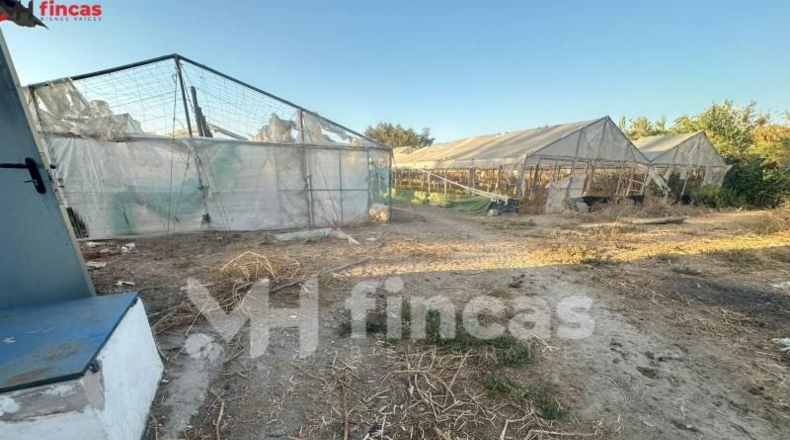 Seville - Los Palacios y Villafranca - 7439m2
