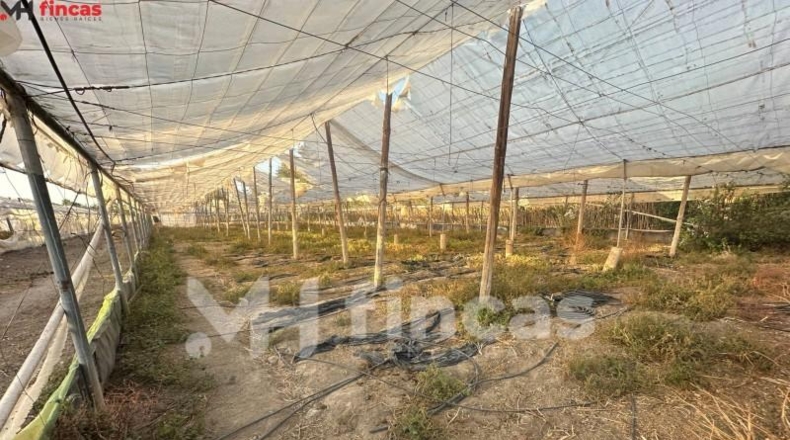 Seville - Los Palacios y Villafranca - 7439m2