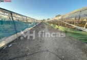 Xalet independent amb terreny en venda a la España, Los Palacios y Villafranca, ref.: TR308426 foto
