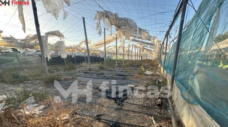 Seville - Los Palacios y Villafranca - 7439m2