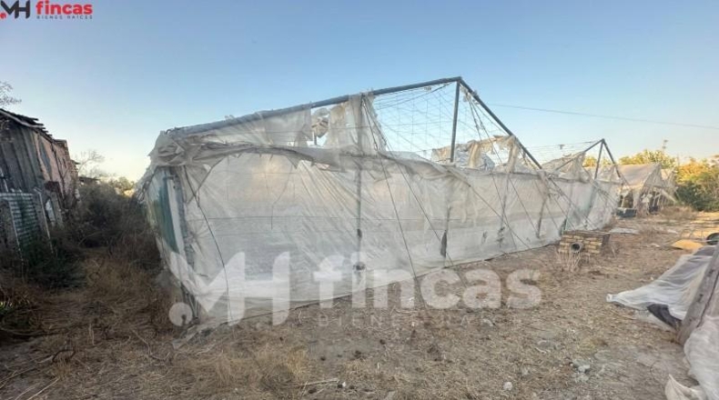 Seville - Los Palacios y Villafranca - 7439m2