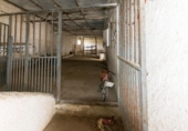Land suitable for development for sale on España, Moraleda de Zafayona, ref: TR317193 photo