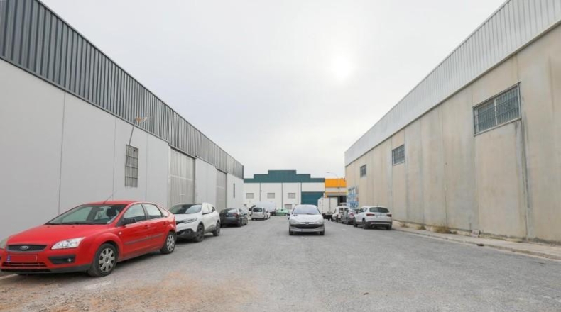 Granada - Padul - 789m2