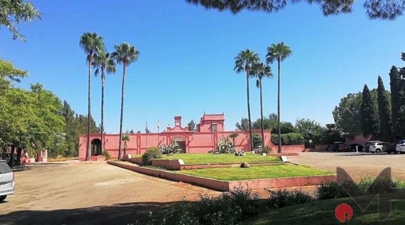 Sevilla - Aznalcázar - 1061m2