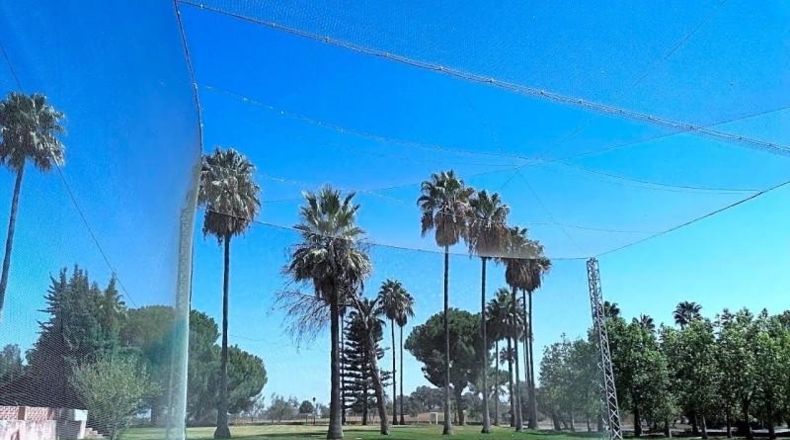Sevilla - Aznalcázar - 1061m2
