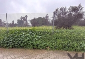 Suelo urbano en venta en la España, Aznalcázar, ref: TR125866 foto