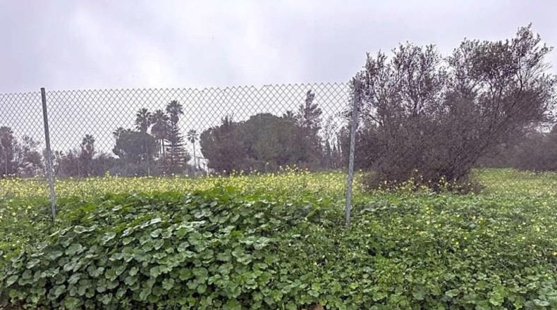 Sevilla - Aznalcázar - 1061m2