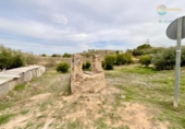 Casa de camp amb terreny en venda a la España, Cartagena, ref.: TR353382 foto