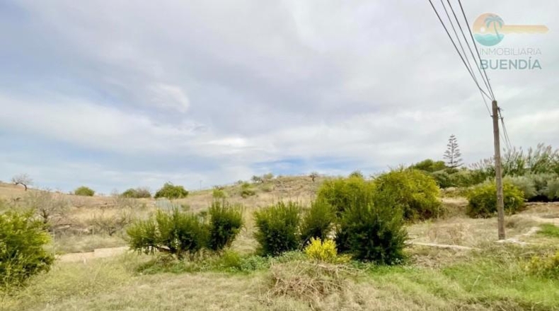 Murcia - Cartagena - 2366m2