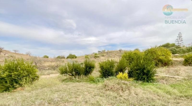 Murcia - Cartagena - 2366m2