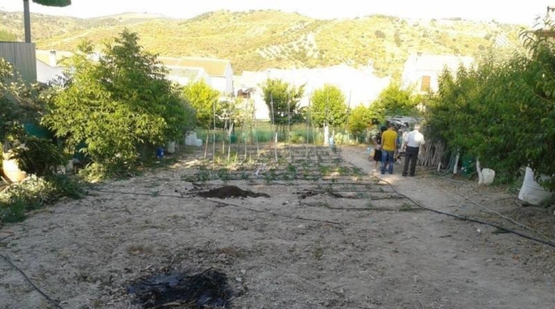 Málaga - Archidona - 446m2