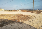Terreny no urbanitzable en venda a la España, Totana, ref.: TR117531 foto