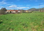 Parcel·la urbanitzable en venda a la España, Selaya, ref.: TR353312 foto