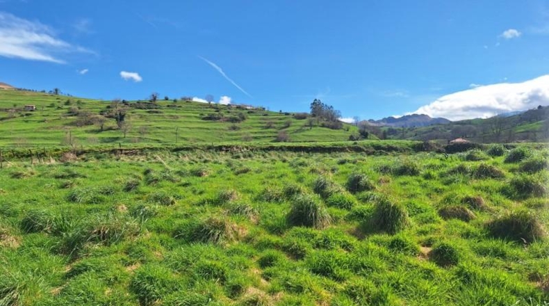 Cantàbria - Selaya - 3110m2